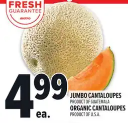 Metro JUMBO CANTALOUPES OR ORGANIC CANTALOUPES offer