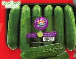 Metro MINI CUCUMBERS 397 G RUSSET POTATOES 5 LB offer