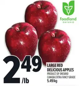 Metro LARGE RED DELICIOUS APPLES offer