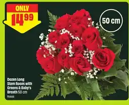 FreshCo Dozen Long Stem Roses with Greens & Baby's Breath 50 cm offer