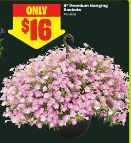FreshCo 11 Premium Hanging Baskets offer