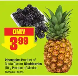 FreshCo Pineapples Product of Costa Rica or Blackberries 170 g Product of Mexico offer