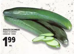 Metro SEEDLESS CUCUMBERS offer