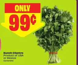 FreshCo Bunch Cilantro Product of USA or Mexico offer