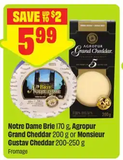 FreshCo Notre Dame Brie 170 g, Agropur Grand Cheddar 200 g or Monsieur Gustav Cheddar offer