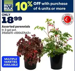 RONA Assorted perennials offer
