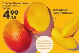 Longo's Fresh Tree-Ripened Mango offer