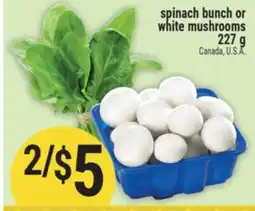 Marché Adonis spinach bunch or white mushrooms offer
