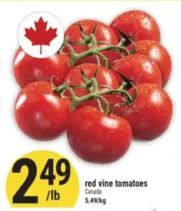 Marché Adonis red vine tomatoes offer