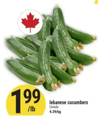 Marché Adonis lebanese cucumbers offer