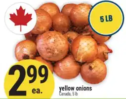 Marché Adonis yellow onions offer