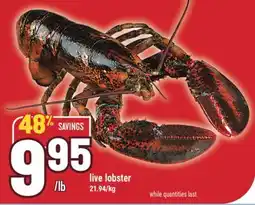 Marché Adonis live lobster offer