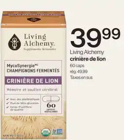 Avril Crinière de lion offer