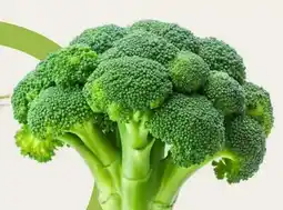 Avril Brocoli Bio offer