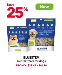 Mondou BLUESTEM Dental treats for dogs offer