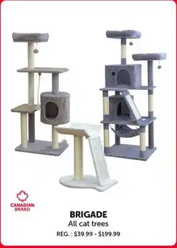 Mondou BRIGADE All cat trees offer