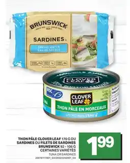 L'Intermarché THON PÂLE 170 G OU SARDINES OU FILETS DE SARDINES 92 - 106 G | TUNA OR SARDINES offer