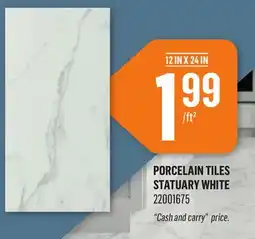 Canac PORCELAIN TILES STATUARY WHITE offer