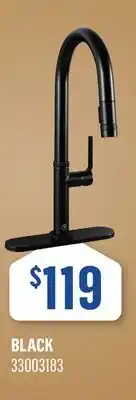 Canac Federico Pull-Out Kitchen Faucet offer