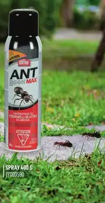 Canac Ant B gon Max Ant killer offer