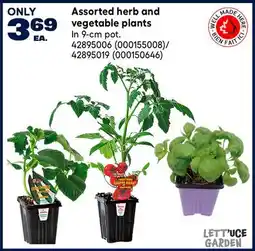 RONA Assorted herb and vegetable plants offer