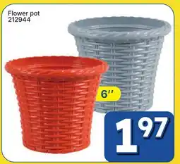 Rossy Flower pot offer