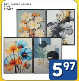 Rossy Asst. framed pictures offer