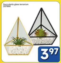 Rossy Succulents glass terrarium offer