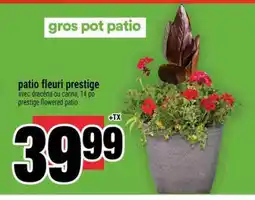 Super C gros pot patio offer