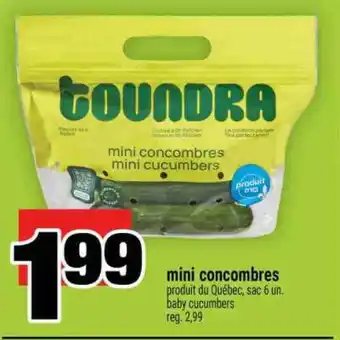 Super C mini concombres offer