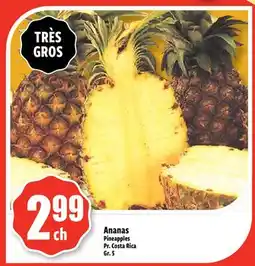 Bonanza Ananas offer