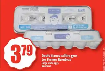 Bonanza Large white eggs offer