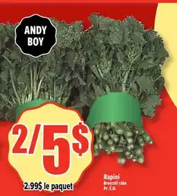 Bonanza ANDY BOY Brccoli rabe offer