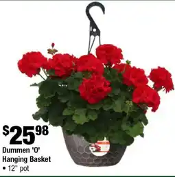 Home Depot Dummen '0' hanging basket 12 pot offer