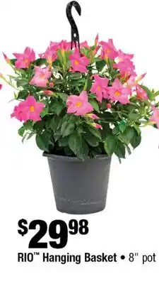 Home Depot RIO hanging basket 8 popt offer