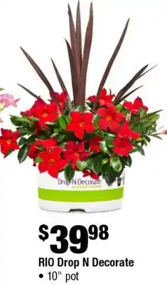 Home Depot RIO drop N decorate 10 pot offer