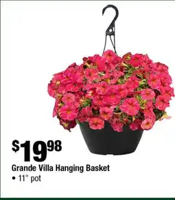 Home Depot Grande villa hanging basket 11 pot offer