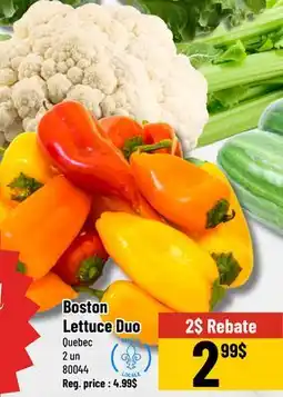 Mayrand Boston Lettuce Duo offer