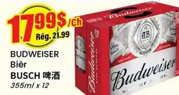 Btrust Supermarket BUDWEISER Bièr BUSCH offer