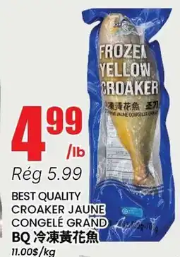 Btrust Supermarket BEST QUALITY CROAKER JAUNE CONGELÉ GRAND offer