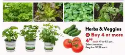 Sheridan Nurseries Herbs & Veggies offer