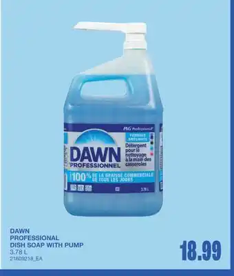 Wholesale Club PROFESSIONAL DISH SOAP WITH PUMP offer