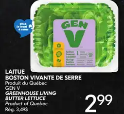 IGA GEN V GREENHOUSE LIVING BUTTER LETTUCE offer