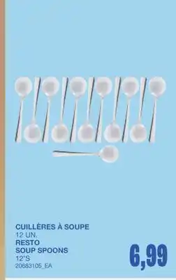 Wholesale Club CUILLÈRES À SOUPE, 12 UN offer