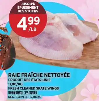 Kim Phat FRESH CLEANED SKATE WINGS offer