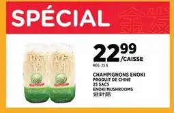 Kim Phat ENOKI MUSHROOMS offer