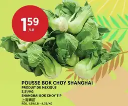 Kim Phat SHANGHAI BOK CHOY TIP offer
