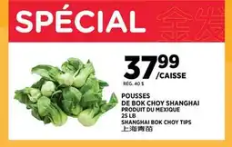 Kim Phat SHANGHAI BOK CHOY TIPS offer