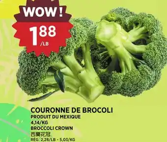 Kim Phat BROCCOLI CROWN offer