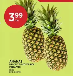 Kim Phat PINEAPPLE offer